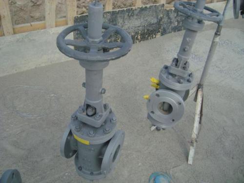 543587_110544545752772_76445805_n